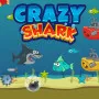 Crazy Shark is an action-packed arcade survival game where you hunt, grow stronger, evolve into a massive predator, and dominate the ocean while avoiding deadly threats.