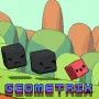 Geometrix is ​​a fun and engaging game for everyone. It is a test of your reflexes and geometric thinking in real time. Behind the minimalist interface is a fierce confrontation between players and enemies with different shapes.