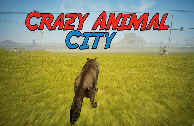 How to play Crazy Animal City