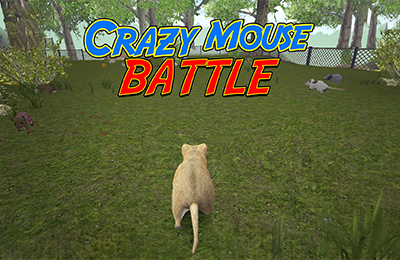 How to play crazy-mouse-battle